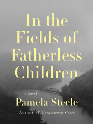 cover image of In the Fields of Fatherless Children